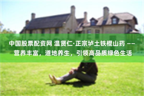 中国股票配资网 温贤仁·正宗垆土铁棍山药 —— 营养丰富，道地养生，引领高品质绿色生活