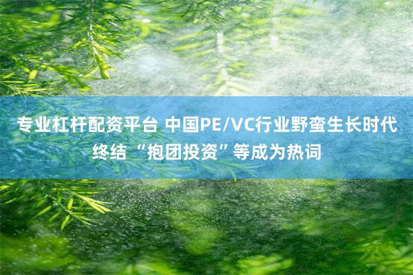 专业杠杆配资平台 中国PE/VC行业野蛮生长时代终结 “抱团投资”等成为热词