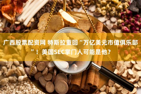 广西股票配资网 特斯拉重回“万亿美元市值俱乐部”！美国SEC掌门人可能是他？