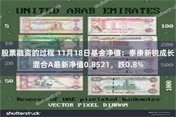 股票融资的过程 11月18日基金净值：泰康新锐成长混合A最新净值0.8521，跌0.8%