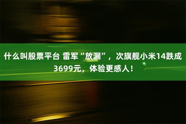 什么叫股票平台 雷军“放漏”，次旗舰小米14跌成3699元，体验更感人！