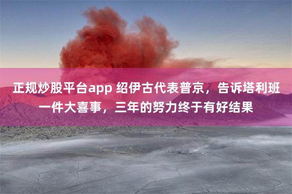 正规炒股平台app 绍伊古代表普京，告诉塔利班一件大喜事，三年的努力终于有好结果