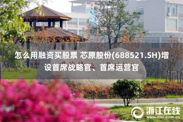 怎么用融资买股票 芯原股份(688521.SH)增设首席战略官、首席运营官