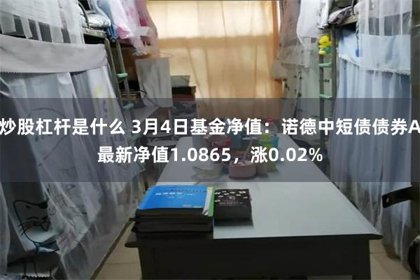 炒股杠杆是什么 3月4日基金净值：诺德中短债债券A最新净值1.0865，涨0.02%